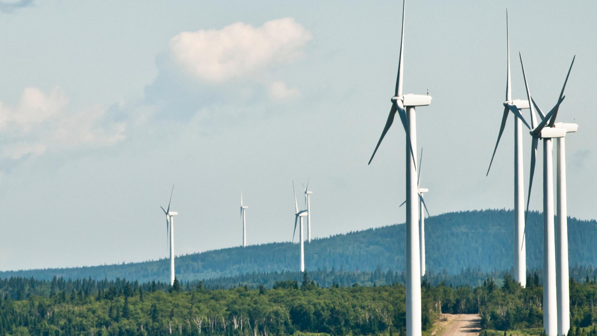 Wind turbines surrounded by wood.