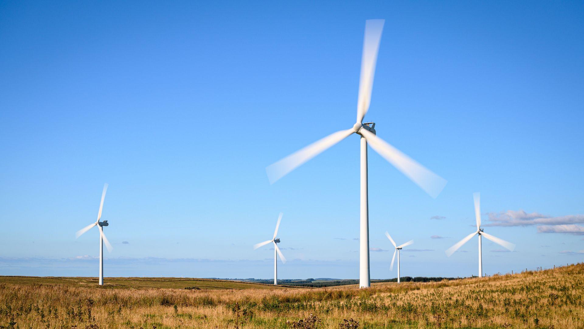 Rotating wind turbines in a field