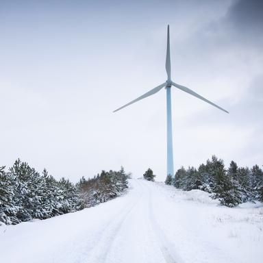 Wind turbine surrounded b