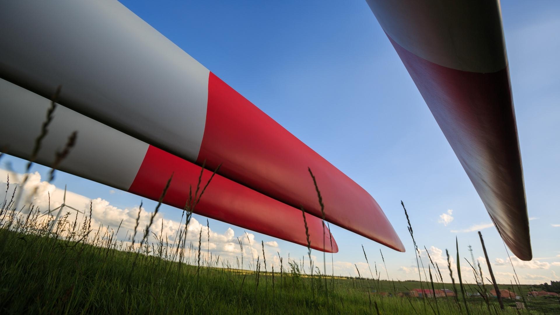 Rotor blades 