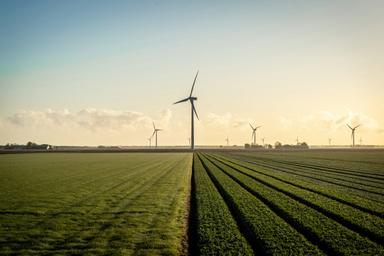 Wind farm at sunset