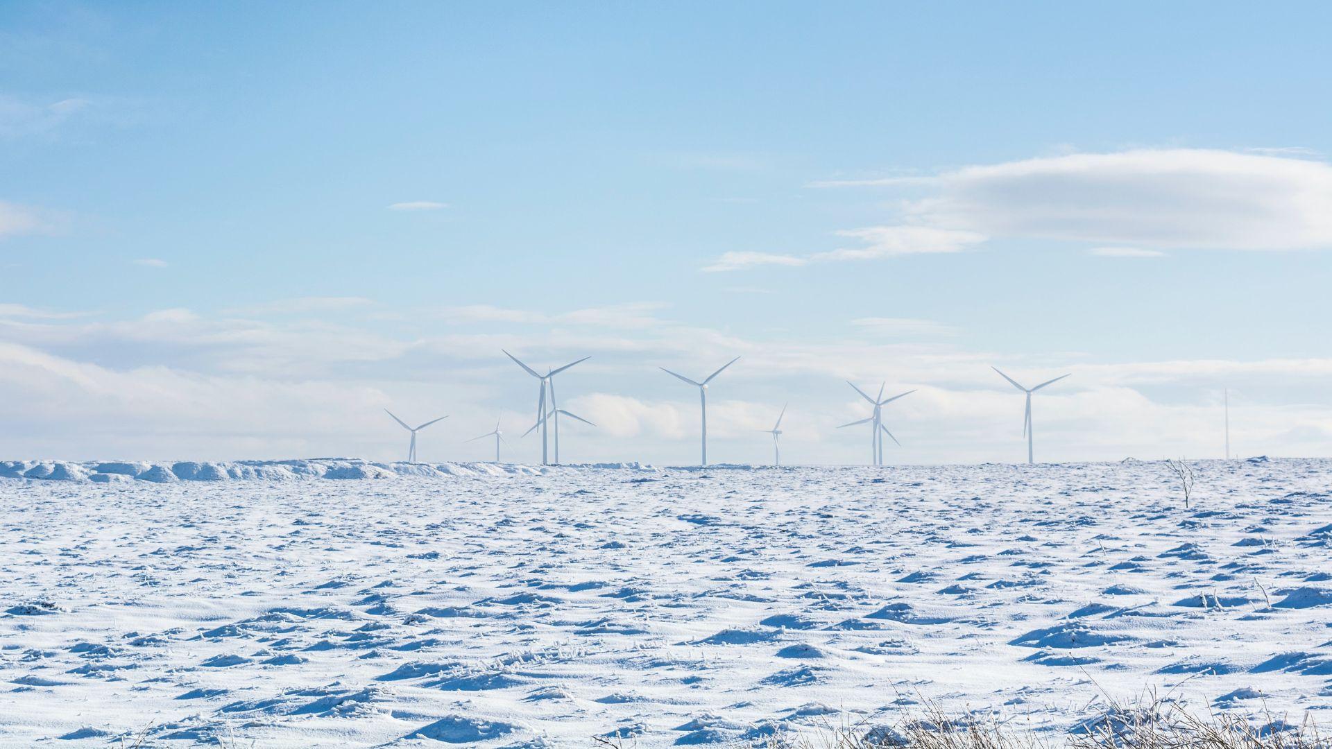 Hoarfrost on wind turbines during winter