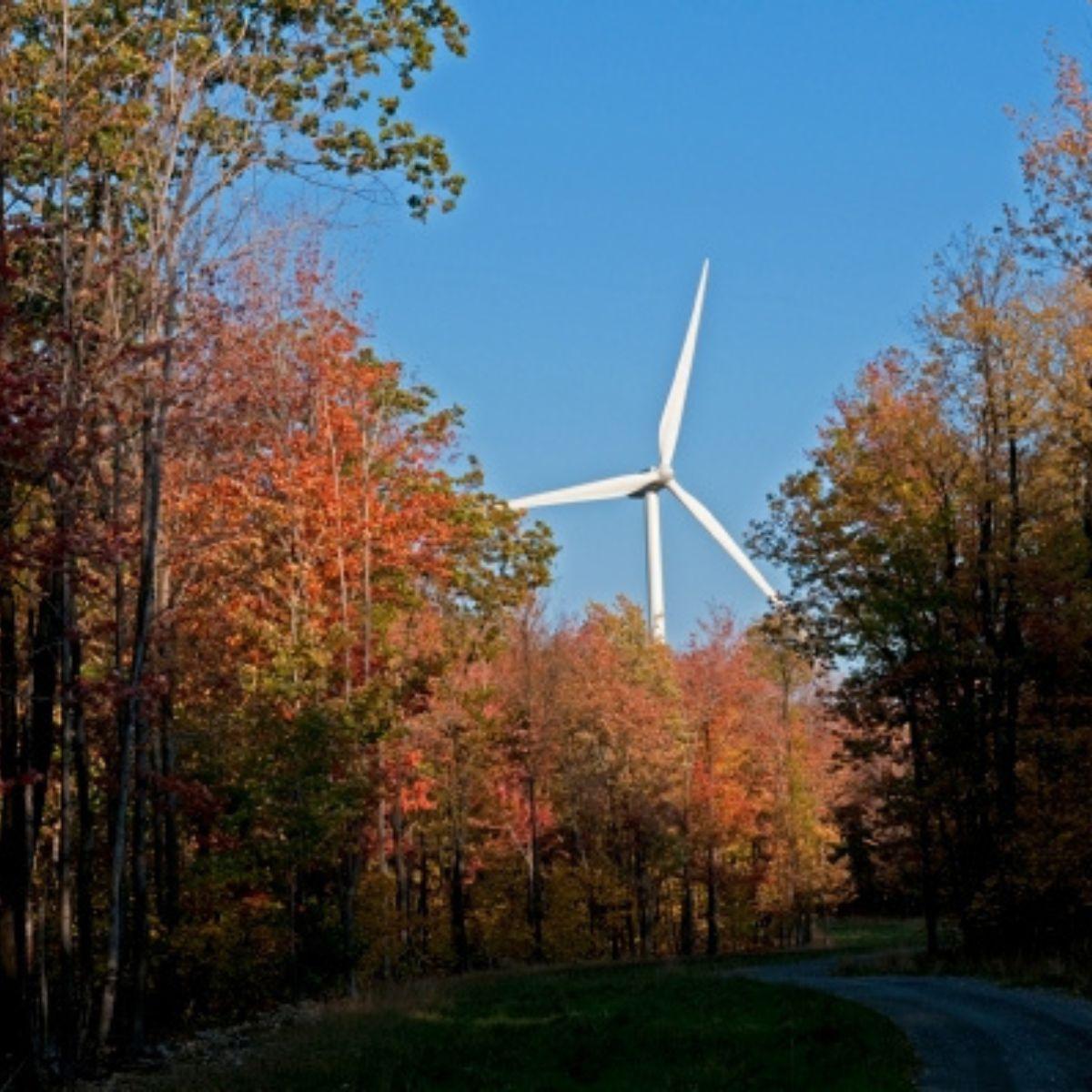 Picture of Deriva Energy wind turbine. Copyright: Deriva Energy