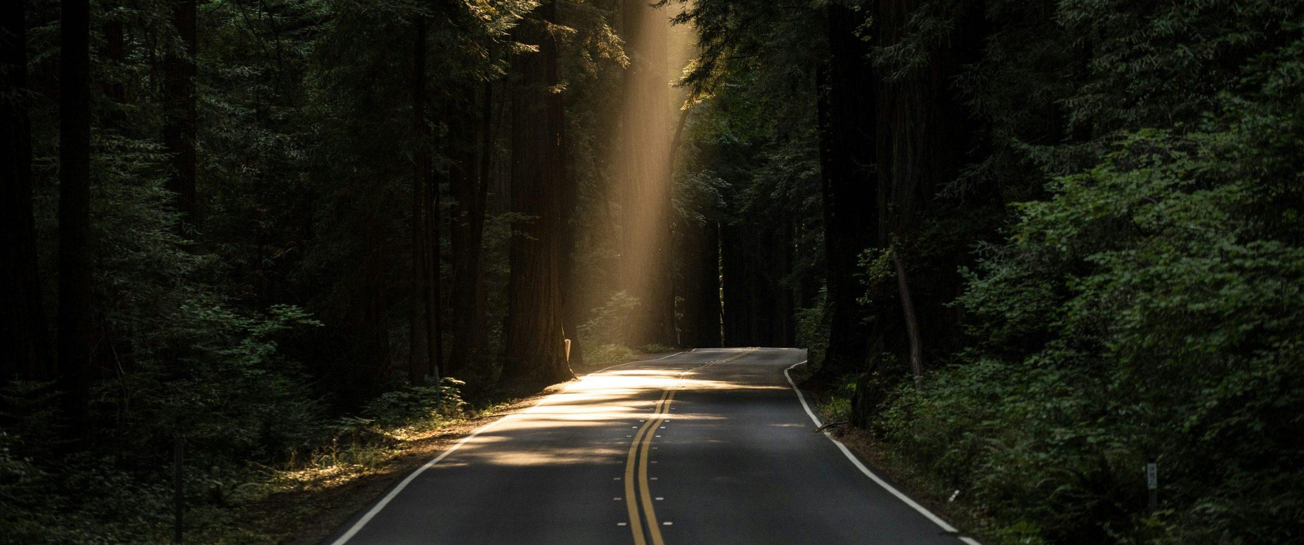 Road green - ready for a new path?