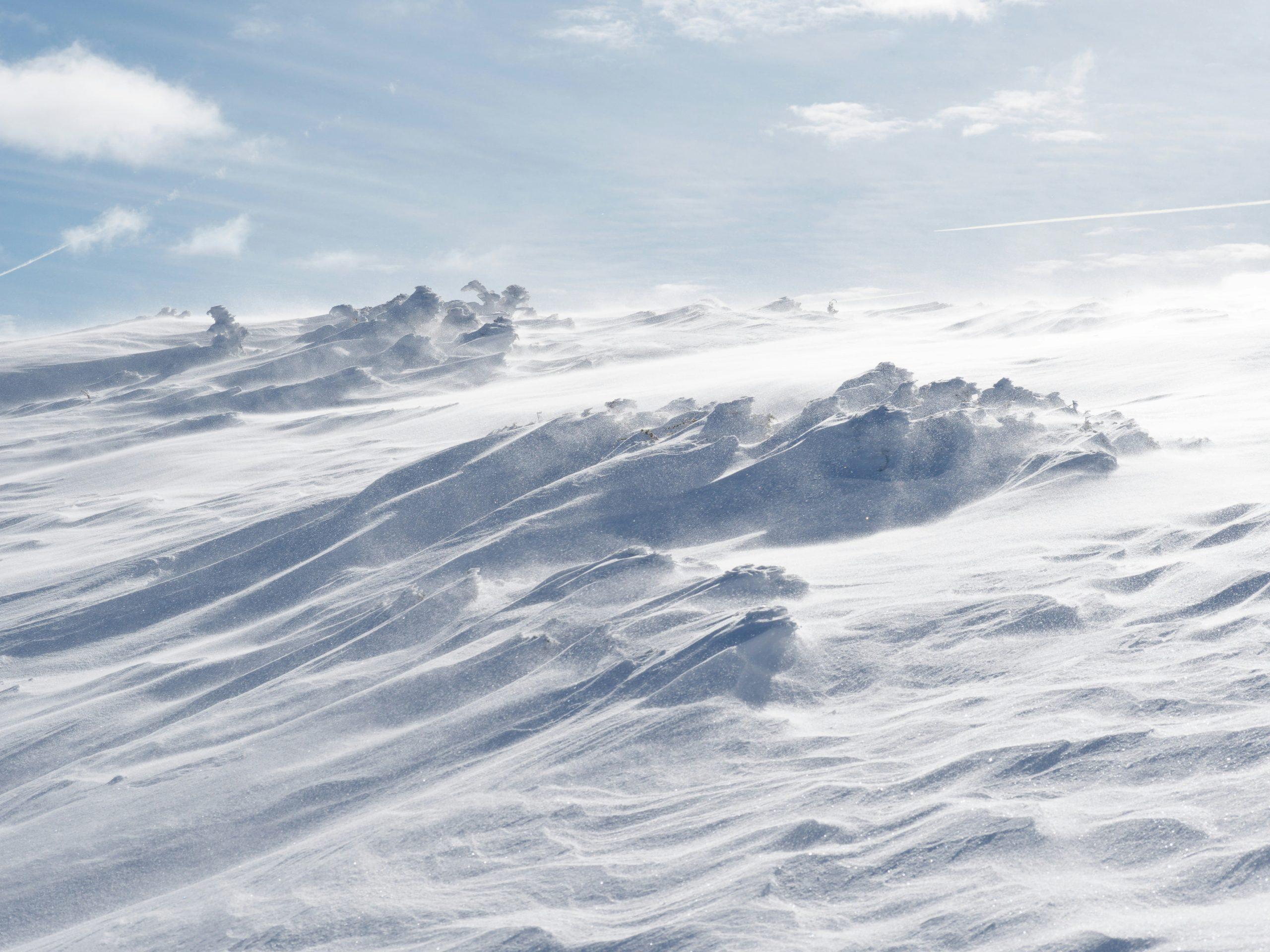 Winter landscape